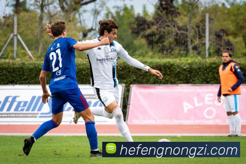 开云手机网页登录网页发展历程